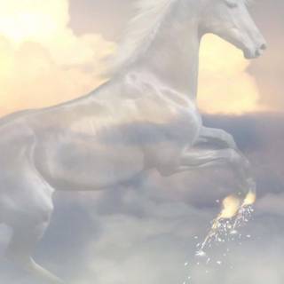White horse iPhone wallpaper