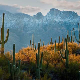 Arizona desert 4k wallpaper