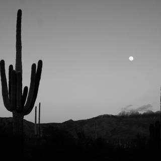 Arizona desert 4k wallpaper
