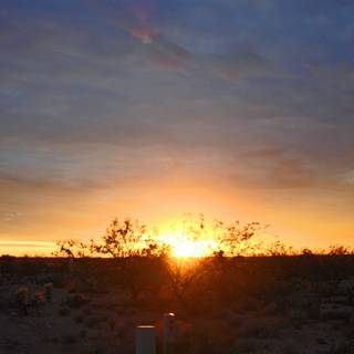 Arizona desert 4k wallpaper