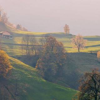 Countryside iPhone wallpaper