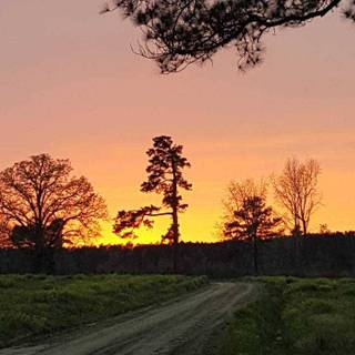 Countryside iPhone wallpaper