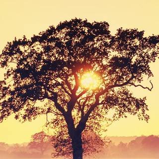 Countryside iPhone wallpaper