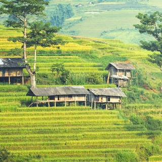 Countryside iPhone wallpaper