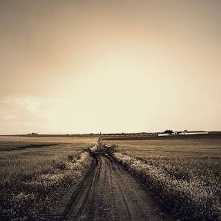 Countryside iPhone wallpaper