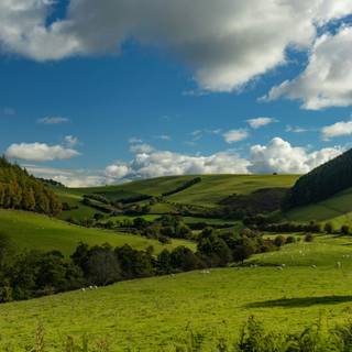 Countryside iPhone wallpaper