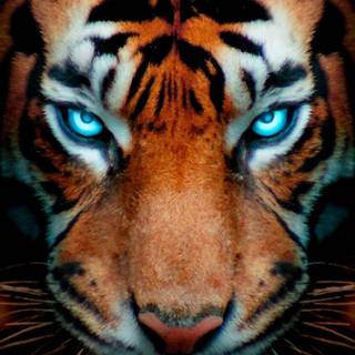 iPhone glow wallpaper