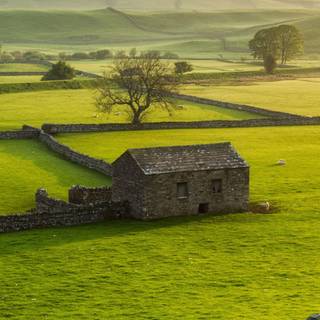 Countryside iPhone wallpaper