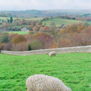 Countryside iPhone wallpaper