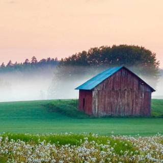 Countryside iPhone wallpaper