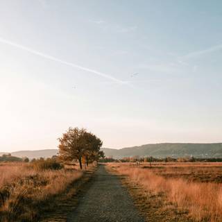 Countryside iPhone wallpaper