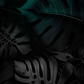 Black iPhone 15 wallpaper