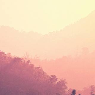 Calm nature iPhone wallpaper