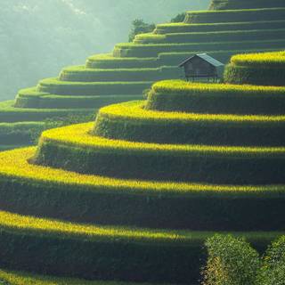 Calm nature iPhone wallpaper