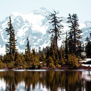 Calm nature iPhone wallpaper