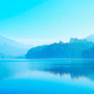 Calm nature iPhone wallpaper