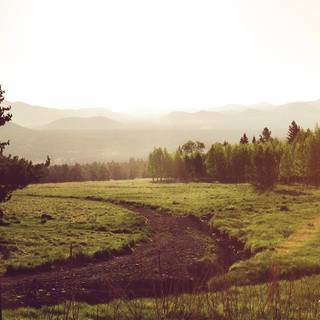 Calm nature iPhone wallpaper