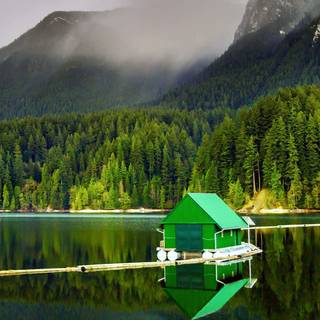 Calm nature iPhone wallpaper