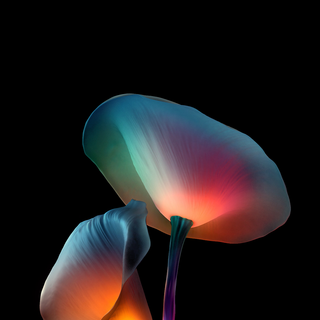 iPhone 13 amoled wallpaper