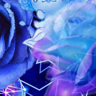 Axolotl iPhone wallpaper