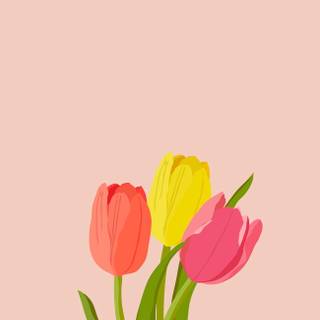Tulips iPhone wallpaper