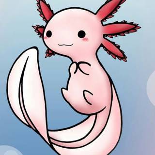 Axolotl iPhone wallpaper