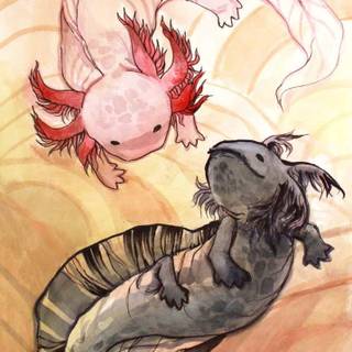 Axolotl iPhone wallpaper
