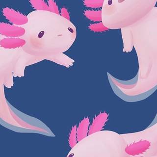 Axolotl iPhone wallpaper