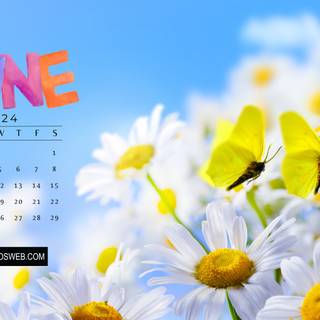 June 2024 calendar wallpaper