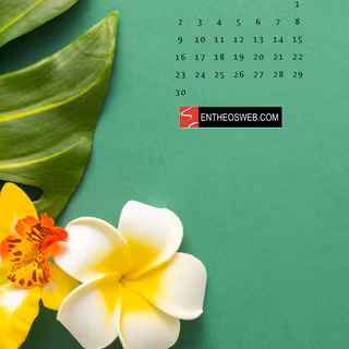 June 2024 calendar wallpaper