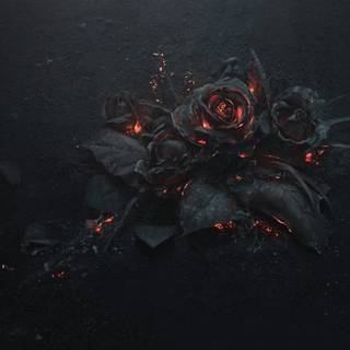 Flaming rose wallpaper