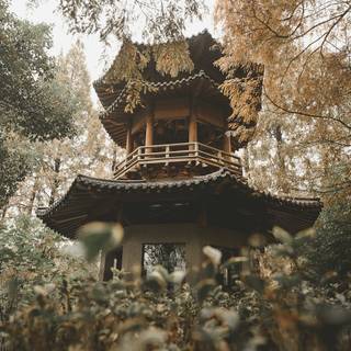 Asian temple wallpaper