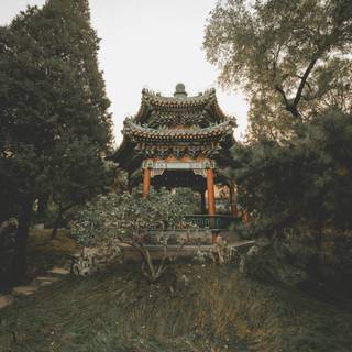 Asian temple wallpaper
