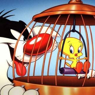 Sylvester and Tweety wallpaper