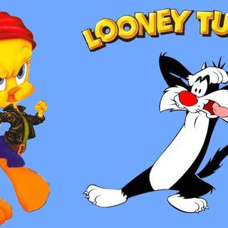 Sylvester and Tweety wallpaper