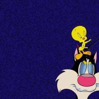 Sylvester and Tweety wallpaper