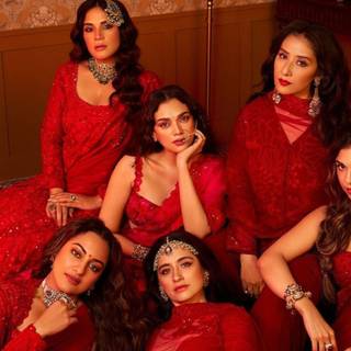 Heeramandi wallpaper