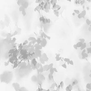 White leaves wallpaper