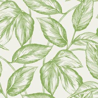 Green foliage wallpaper
