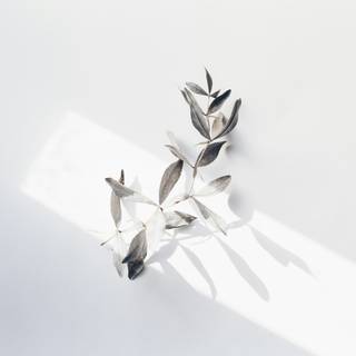 White leaves wallpaper