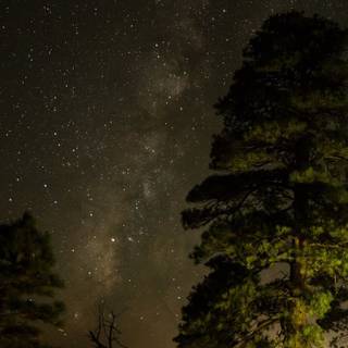 Vertical night anime wallpaper