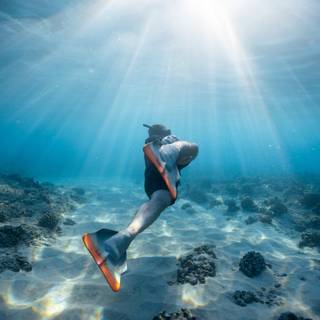 Underwater 8k wallpaper