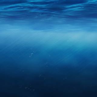 Underwater 8k wallpaper