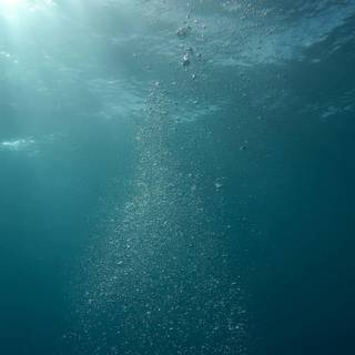 Underwater 8k wallpaper