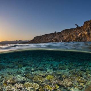 4k underwater PC wallpaper