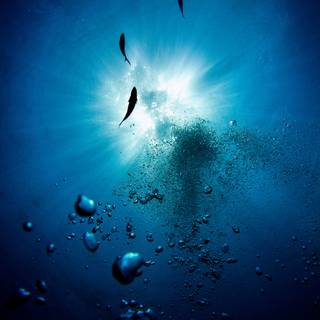 Underwater 8k wallpaper