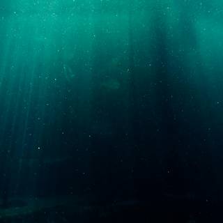 Underwater 8k wallpaper