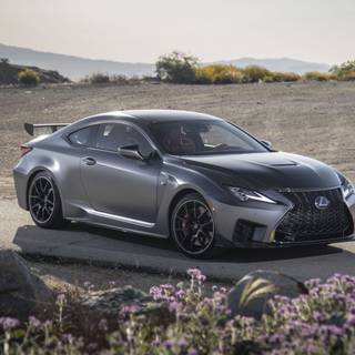 Lexus RC F Matte black wallpaper