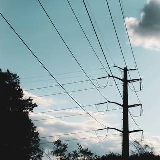 Electric pole wallpaper
