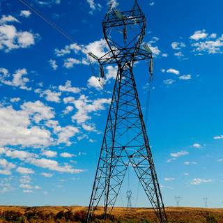 Electric pole wallpaper